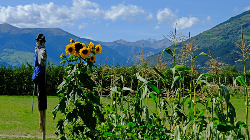 2017-09-07_145852 trentino-suedtirol-2017.jpg - Oberes Etschtal Rundweg bei Laas
